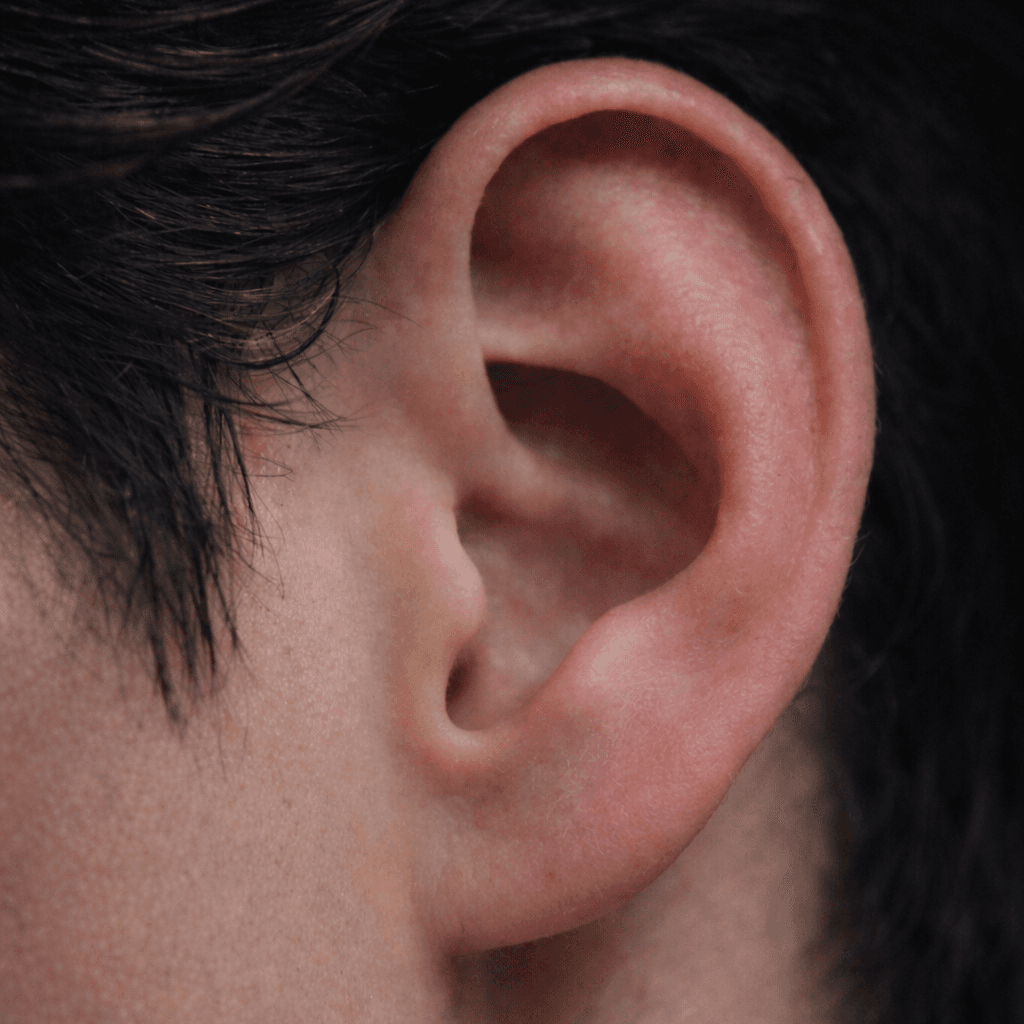 Ears that go red